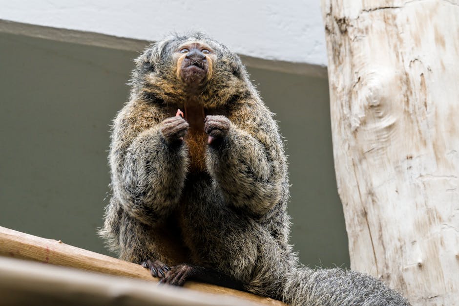 11 : img_9 Editorial fashion composition